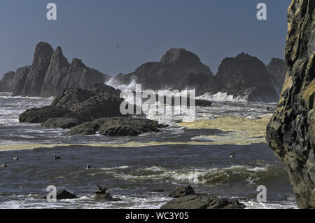 Vista sul mare dalla spiaggia di Seal Rock, nei pressi di Waldport, Oregon. Foto Stock