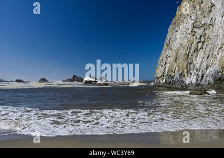 Vista sul mare dalla spiaggia di Seal Rock, nei pressi di Waldport, Oregon. Foto Stock