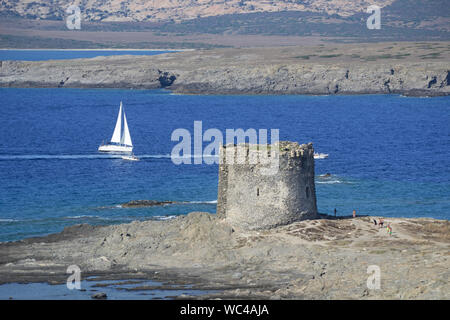 Vista panoramica del tratto di mare tra l'isola dell'Asinara e di Capo Falcone in Sardegna del nord nei pressi di Stintino. Un bianco di vele di imbarcazioni a vela Foto Stock