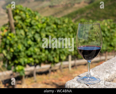 Bicchiere di vino rosso al di sopra della valle del fiume Douro in Portogallo Foto Stock