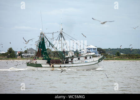 Commerciale di nave da pesca la cattura di gamberetti in Carolina del Sud Foto Stock