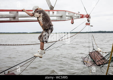 Marinaio arrampicate sulle manovre di barca da pesca Foto Stock