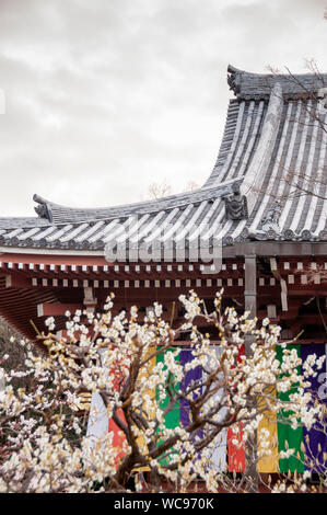 Tetto curvo in tegole di argilla o kawara al Tempio buddista di Chisahakua a Kyoto, Giappone. Foto Stock