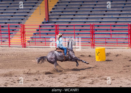 Williams Lake, British Columbia, Canada - 19 Giugno 2016: cavallo e cavaliere gara di canna in Barrel racing evento chiamato Stampede Warm-Up Foto Stock