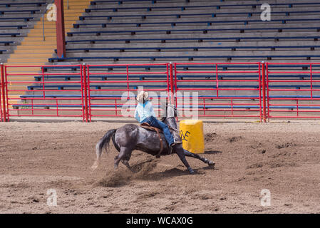 Williams Lake, British Columbia, Canada - 19 Giugno 2016: cowgirl tagli di circa canna in Barrel racing evento chiamato Stampede Warm-Up Foto Stock