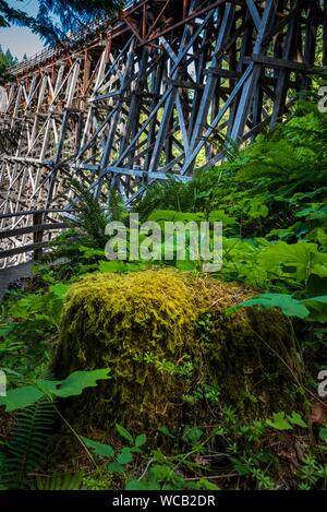 Cavalletto Kinsol Bridge a Shawinigan, Colombia britannica, Canada. Foto Stock