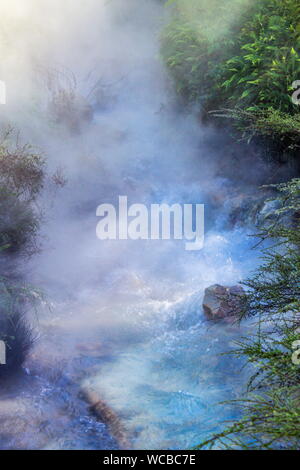 Vapore geotermico sorge da una riscaldata in esecuzione sul fiume presso la Valle Vulcanica di Waimangu a Rotorua, Nuova Zelanda. Foto Stock