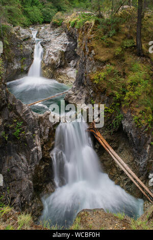 Little Qualicum Falls sono facilmente accessibili e la bella serie di cascate nelle foreste pluviali temperate dell'isola di Vancouver, BC, nei pressi di Nanaimo. Foto Stock