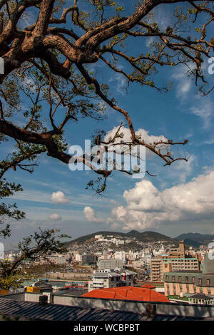 Nagasaki, Kyushu in Giappone. 28 ott 2006. Fotografato attraverso gli alberi del Giardino di Guantaio, di Nagasaki, sulla costa nord-ovest dell'isola di Kyushu, Giappone, è impostata su di un grande porto naturale, con edifici sulle terrazze delle colline circostanti. In agosto 1945, durante la Seconda Guerra mondiale subì un americano di bombardamento atomico, commemorò al suo Museo della Bomba Atomica e il Parco della Pace ha visitato da molti giapponesi e turisti stranieri. Credito: Arnold Drapkin/ZUMA filo/Alamy Live News Foto Stock