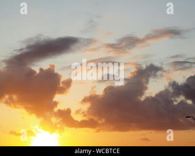 Tramonto sulla baia di Barnegat, New Jersey. Colpo da spiaggia in Lavallette, NJ. Foto Stock