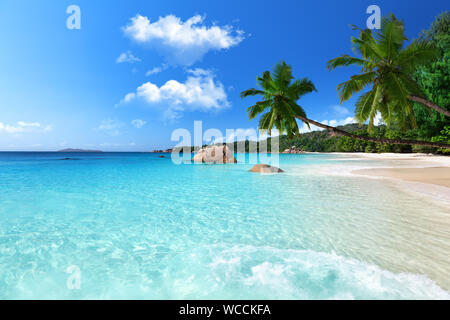 Spiaggia Seychelles Foto Stock