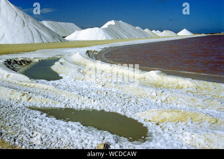 Saline Bonaire, miniera di sale, la naturale evaporazione dal sole e dal vento, il sale cristallizza nel sale letti, Bonaire, Antille olandesi Foto Stock