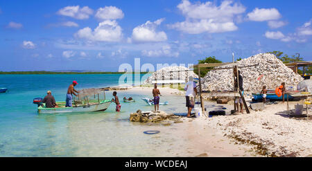 I pescatori a west coast, impilati gusci vuoti della regina conches (Strombus gigas) in spiaggia, ex delicatezza, ora protetto, Bonaire, Antille olandesi Foto Stock