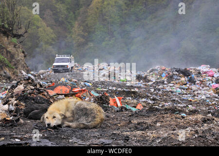 Oggi, i rifiuti solidi rimane un problema. immagazzinati in modo caotico rifiuti solidi danneggia la natura. Foto Stock