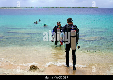 Shore, immersioni scuba diver entra in mare, la maggior parte dei siti di immersione sono raggiungibili da riva, Bonaire, Antille olandesi Foto Stock