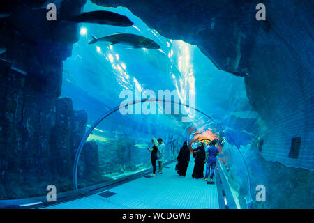 L'immagine di Dubai Aquarium nel centro commerciale di Dubai, UAE Foto Stock