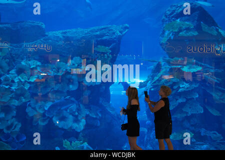 L'immagine dell'acquario nel centro commerciale di Dubai, UAE Foto Stock