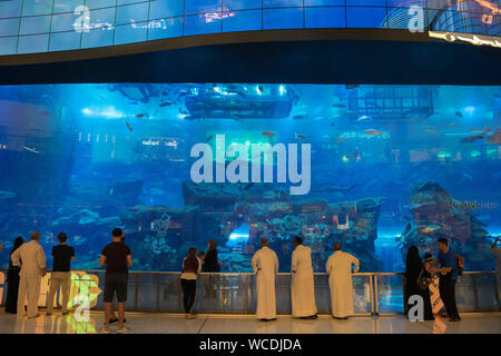 L'immagine di turista in acquario nel centro commerciale di Dubai, UAE Foto Stock