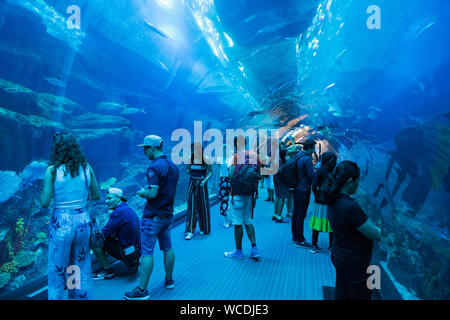 L'immagine di turista in acquario nel centro commerciale di Dubai, UAE Foto Stock