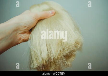 Capelli Sintetici materiali per tessitura, intrecciatura trecce africane zizi, Kanekalon, sottile finito di pig-tail Foto Stock