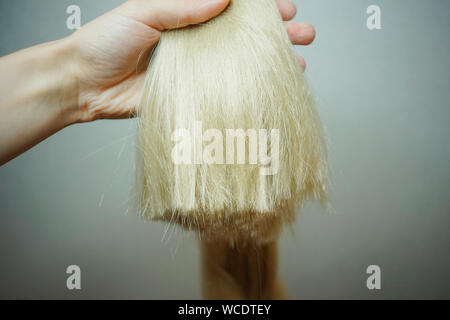 Capelli Sintetici materiali per tessitura, intrecciatura trecce africane zizi, Kanekalon, sottile finito di pig-tail Foto Stock