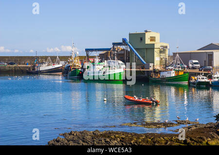 8 agosto 2019 le navi per la pesca a strascico in corrispondenza della banchina per il week-end di Ardglass Harbour contea di Down Irlanda del Nord Foto Stock