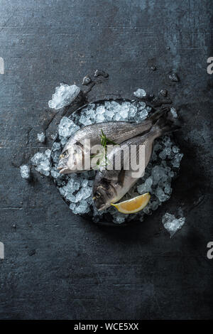 Materie Mediterranea di pesce orate in ghiaccio con rosmarino e limone Foto Stock