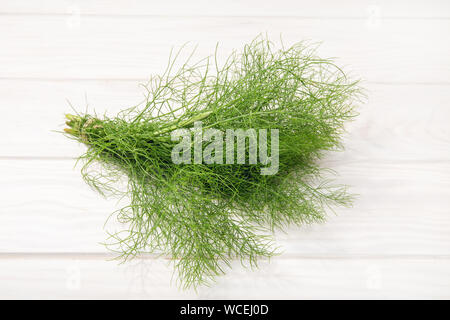 Finocchio erbe fresche di legno su sfondo bianco. Erba aromatica. Foeniculum vulgare Foto Stock