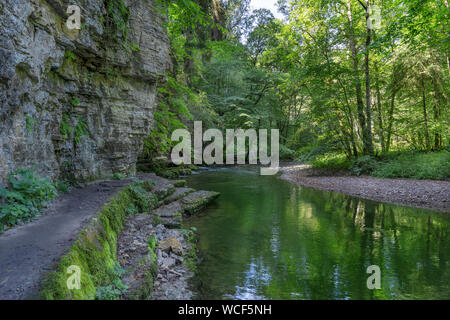 Wutachschlucht - Wutach Gorge nella Foresta Nera, Germania Foto Stock