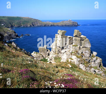 Gurnards dirigiti dal sentiero costiero sud-ovest, tra Lands End e St Ives, Cornovaglia. Foto Stock