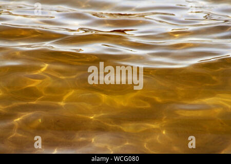 Belle acque di oro con morbide ondulazioni sulla superficie e luce naturale Foto Stock