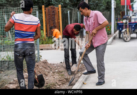 (190828) -- KASHGAR, Agosto 28, 2019 (Xinhua) -- gli abitanti di un villaggio di arare il terreno per piantare fiori in un vicolo a Qianjin Village a Kashgar, a nord-ovest della Cina di Xinjiang Uygur Regione autonoma, Agosto 18, 2019. Abitazioni circondato da fragranti sbocciano i fiori a profusione e ben disposte le case e i vicoli di un aspetto più ordinato, varie rivestimento alberi lungo le strade dove i bambini si divertono, la scena pastorale può essere visto ovunque nel villaggio di Qianjin. La bellezza idilliaca nel villaggio di Qianjin deriva dalla sua fiorente economia di fiori in cui Salima Sultan è un pioniere. Salima, un 60-anno-vecchio abitante, SVIL Foto Stock