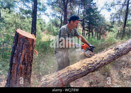 Salonicco, Grecia - 26 Giugno 2019: lavori Lumberjack wirh chainsaw nella foresta di conifere per lo sfruttamento industriale in suburbano fo Foto Stock