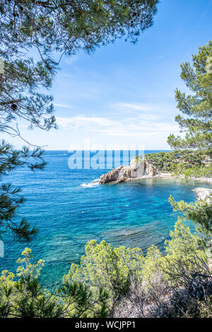 Vista panoramica di "Calanque Figuiere dell' (creek e Figuières Cove nel Méjean), il sud della Francia e d'Europa. Incorniciato da alberi di pino Foto Stock