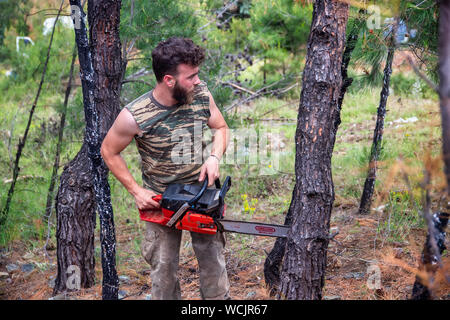 Salonicco, Grecia - 26 Giugno 2019: lavori Lumberjack wirh chainsaw nella foresta di conifere per lo sfruttamento industriale in suburbano fo Foto Stock