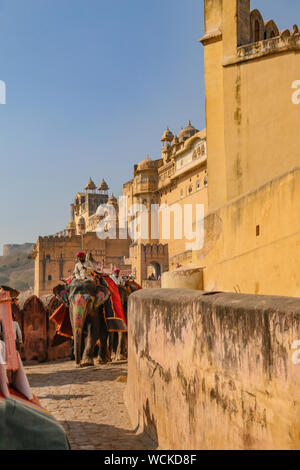 Gli elefanti di prendere i turisti per la parte superiore del Forte Amer (Forte Amber), Amer, Rajasthan, India, Asia centrale Foto Stock