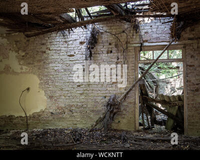 Abbandonato saccheggiato fruttivendolo nel villaggio Zalissya di Chernobyl Zona di esclusione, Ucraina Foto Stock