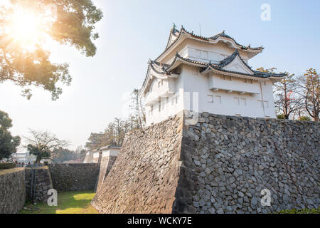 Il Castello Nagoya storica pietra miliare in Nagoya in Giappone. Foto Stock