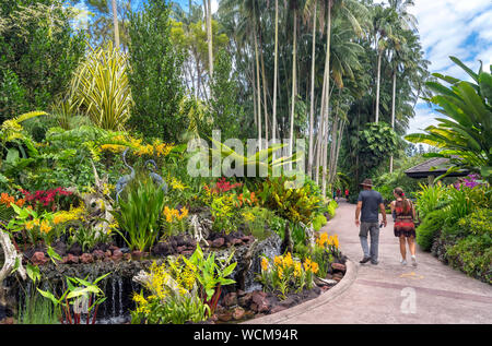 Percorso attraverso il National Orchid Garden, Singapore Botanic Gardens, Singapore Foto Stock
