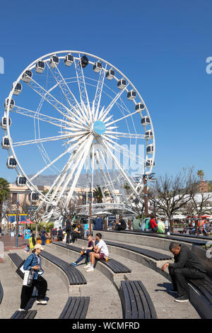 La ruota del capo ruota panoramica Ferris a V&A Waterfront, Città del Capo, Sud Africa su una soleggiata giornata invernale con Table Mountain in background Foto Stock