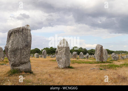 Alignements du Menec - roows di menhir - pietre permanente - il più grande sito megalitico nel mondo, Carnac, Brittany, Francia Foto Stock