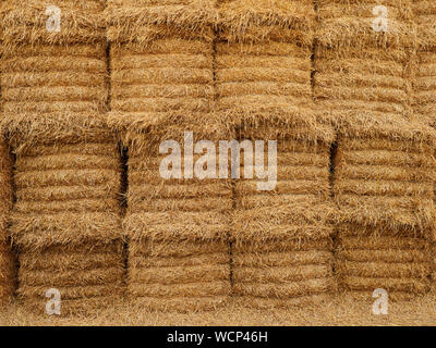 Un lato in vista di impilate ordinatamente grande heston balle di paglia d'orzo Foto Stock