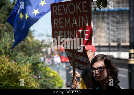 Anti Brexit manifestanti sventolano cartelli in Westminster come è annunciato che Boris Johnson ha avuto la sua richiesta di sospendere il Parlamento approvata dalla Regina il 28 agosto 2019 a Londra, Inghilterra, Regno Unito. L'annuncio di una sospensione del Parlamento per circa cinque settimane di anticipo Brexit ha esasperato rimangono sostenitori che suggeriscono questo è un sinistro piano per fermare la discussione relativa a potenziali nessuna trattativa. Foto Stock