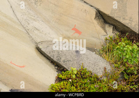 Arte rupestre in Alta fiordo, Norvegia. Simboli antichi, vero e proprio disegno, texture in pietra. Ocra rossa vernice. Prede umana sugli animali di cervi. Gruppo di incisioni rupestri, Foto Stock