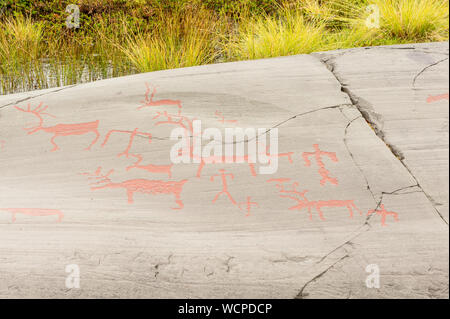 Arte rupestre in Alta fiordo, Norvegia. Simboli antichi, vero e proprio disegno, texture in pietra. Ocra rossa vernice. Prede umana sugli animali di cervi. Gruppo di incisioni rupestri, Foto Stock