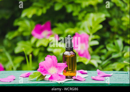 Rosa Mosqueta( Rosa rugosa, spiaggia rosa, Giapponese rosa petalo concetto dell'olio. Brown flacone contagocce con sparsi rosa scuro petali di rosa canina e in vetro chiaro j Foto Stock