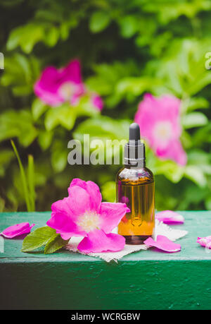 Rosa Mosqueta( Rosa rugosa, spiaggia rosa, Giapponese rosa petalo concetto dell'olio. Brown flacone contagocce con sparsi rosa scuro petali di rosa canina e in vetro chiaro j Foto Stock