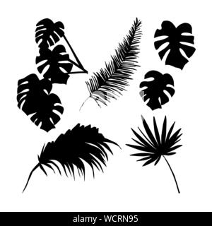 Palm tree fogliame silhouette illustrazioni vettoriali set. Monstera e foglie di noce di cocco nero simboli set. Giungla tropicale, flora della foresta pluviale. Piante esotiche rami e leafage isolati su sfondo bianco Illustrazione Vettoriale