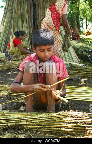 Gli agricoltori che separa le fibre di iuta da culmi.Narail,Bangladesh. Foto Stock