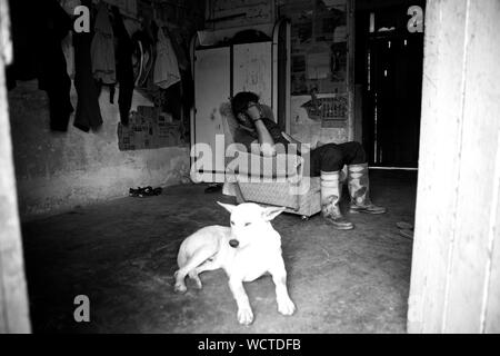 Bharat piantagione di tè, Cameron Highland, Malaysia: Foto Stock